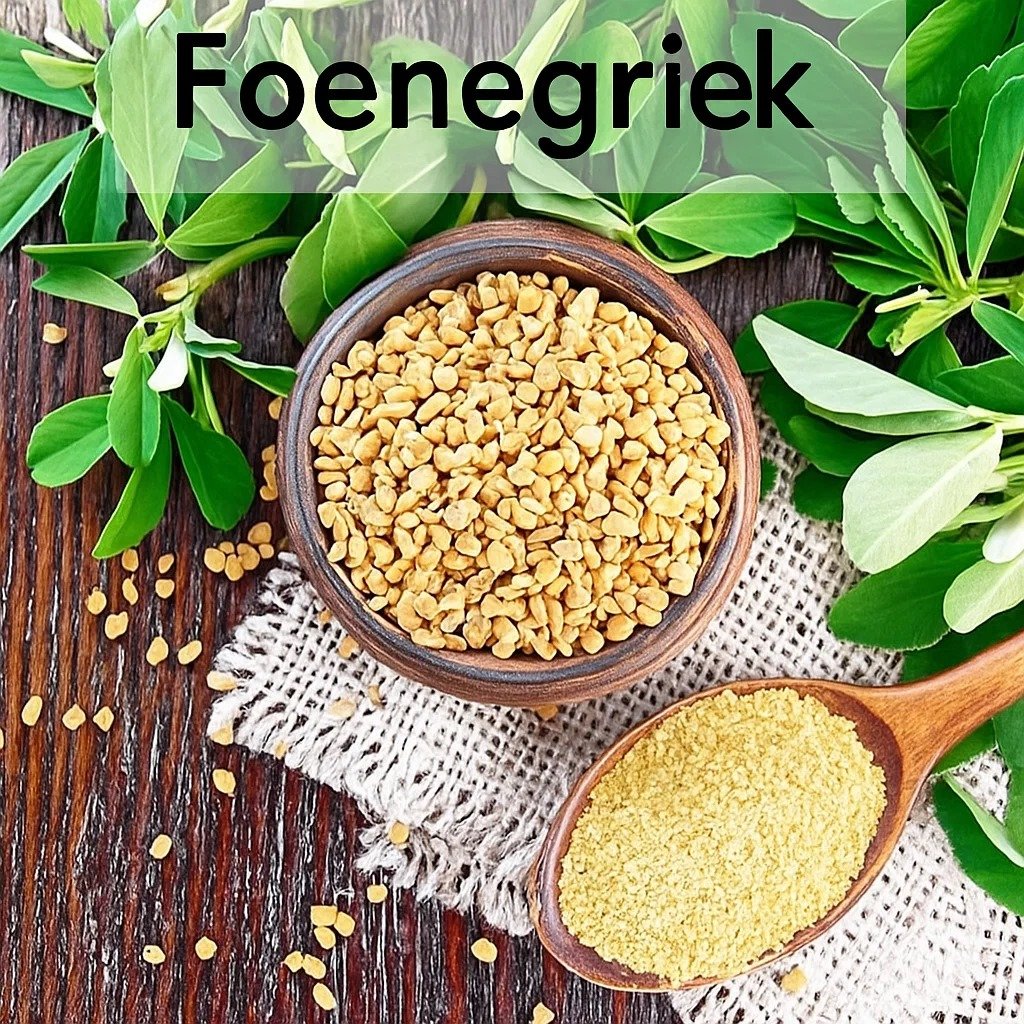 Foenegriek Explained: Nutrition, Remedies, and Side Effects