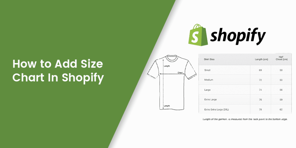 Creating an Interactive Size Chart in Shopify Without Apps