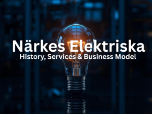 Närkes Elektriska: History, Services & Business Model