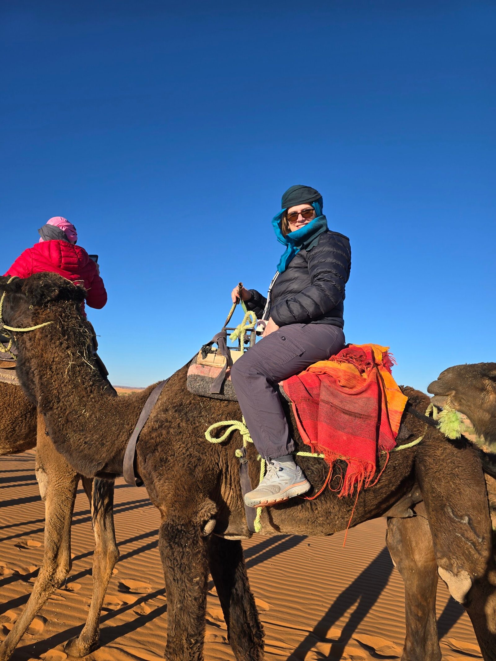 Camel Tours Marrakech: Blending Culture and Adventure