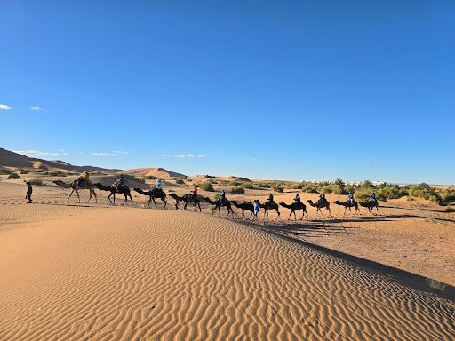 Camel Tours Marrakech: Blending Culture and Adventure